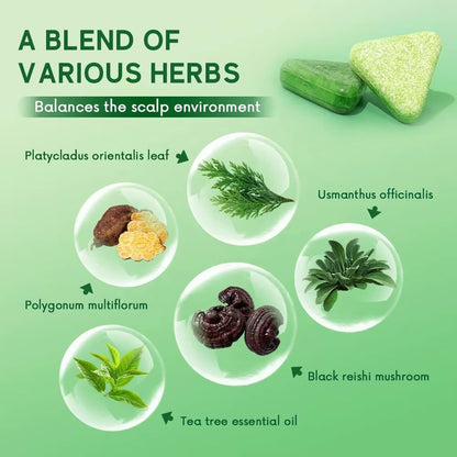 Japanese Natural Herbal Shampoo Soap Bar 🌿✨ (Oil Control, Dandruff Removal)